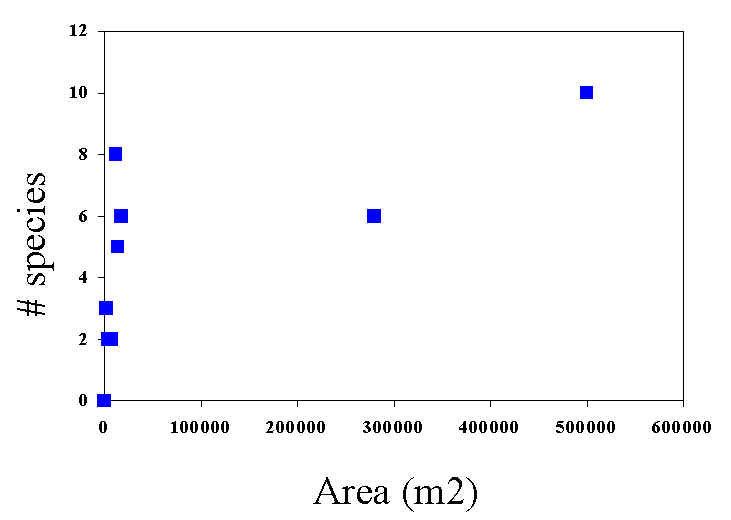 wpe4.jpg (22028 bytes)